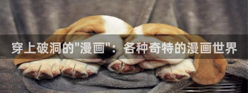 51漫画官网现在下载：穿上破洞的\